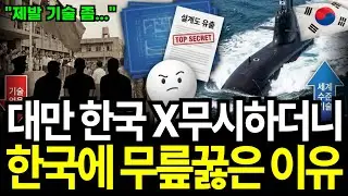 30년간 한국 x무시하던 대만, 결국 꿇고 빌기 시작한 소름 돋는 이유