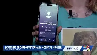 Scammers seem to target people with lost pets
