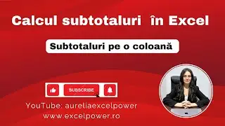 Calcul subtotaluri &icirc;n Excel