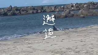 もらいび 「邂逅」 Lyric Video