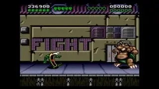 Battletoads & Double Dragon Прохождение 2 Уровень