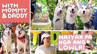 BIIKS 1ST BARKDAY REUNION!! (KILALA PA BA NILA ANG ISA'T ISA?)
