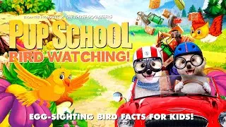 Pup School: Bird Watching - Trailer | Avery Williams, Tina Shuster, Angie Gillespie, Carol Davies