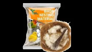 Birds nesting material