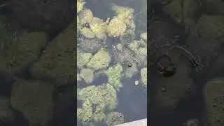 Peaceful nature break 
