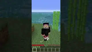 Pfeil Schaden Fakt in Minecraft