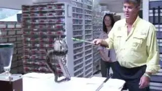 Reptile Discovery Center