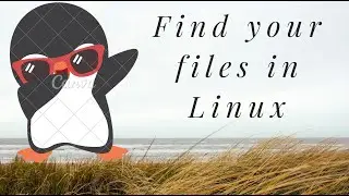 Introduction to the useful command 'find' in Linux