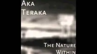 The Single Song - by Che Chidi Chukwumerije (Aka Teraka).