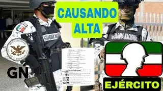 CAUSANDO ALTA EN EL EJÉRCITO MEXICANO Y GUARDIA NACIONAL PROCEDIMIENTOS Y CONSEJOS 👈👈