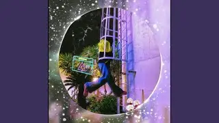 One Night Fantasy