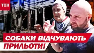 МОТОРОШНІ КАДРИ З ГУЛЯЙПОЛЯ: як саджають ГОРОДИНУ без електрики та світла ПІД ОБСТРІЛАМИ