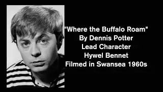 Where The Buffalo Roam