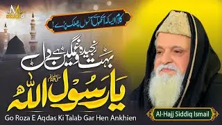 Go Roza E Aqdas Ki Talab Gar Hen Ankhien ~ Al-Hajj Siddiq Ismail ||Emotional Heart Touching New Naat