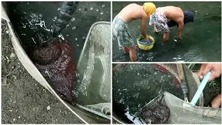 How to clean tubefix worm and where to get it | FishVlog Adventurr Iligan City