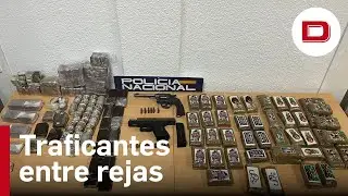 Desarticulada una red criminal de narcotr&aacute;fico en el Campo de Gibraltar