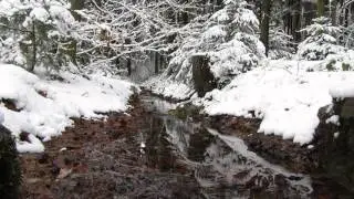 Just relax one hour #006 Forest winter scene