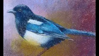 Elster mit Pastellkreiden auf Aquarellpapier