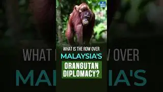 Malaysia's U-turn on 
