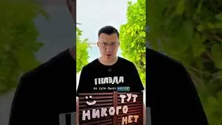 Чем питаются в наших судах? Коротко: ничем #judge #lawyer #trial #shorts