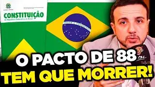 DEMOCRACIA DOENTE: A Constitui&ccedil;&atilde;o que ADOECEU o Brasil!