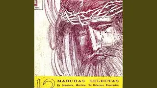 Desolación