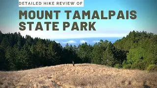 FPOV of Mount Tamalpais State Park | Dipsea, Steep Ravine, and Matt Davis Loop | GoPro Footage