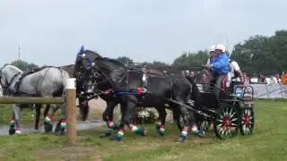 MASCHERONI Carlo, ITA, CH M A4, Breda 2016, Marathon Ob 6, 03 09 16