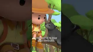 ANIMAL THAT SMELLS LIKE POPCORN?! 🍿 | Leo the Wildlife Ranger | #shorts #education #kids