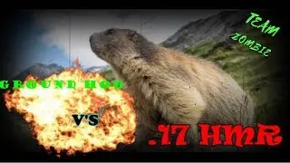 Groundhog Hunting with the .17  hmr (2018)