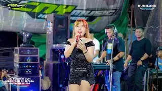 CNY MUSIC - LUKAKU - AVIS NICKY - WEDDING ARIS & SHENY - LEBAK PAKIS AJI JEPARA