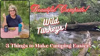 Beautiful Campsite, Wild Turkeys & 3 Things to Make Camping Easier