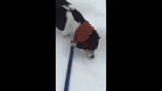 Season 1, Episode 5: Inspector Comet is on the Scene