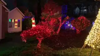 2020 Holiday Lights