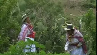 MARTES CARNAVAL