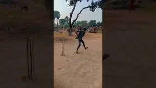 #cricket #lober #full #subscribe #karo #bhai #logo