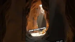 Unveiling Neanderthal Artistry