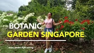 Botanic Garden Bukit Temah Singapore. Part 1 #adventures