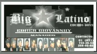 BIG LATINO ( WEPA