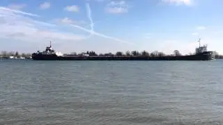 ALGOMA MONTREALAIS