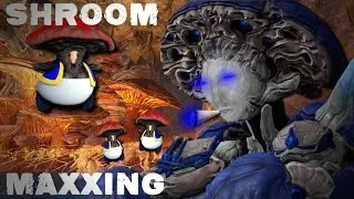 Честный обзор Nokko The New Warframe