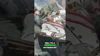 The Sarajevo Shot  How One Bullet Started World War One