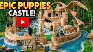 Cute Puppies Explore a Giant Magical Castle | Most Viral Dog Video