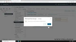 Removing a port group from a VMware vSphere Standard Switch (vSS).