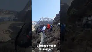 hiking barranco wall in kilimanjaro