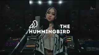Hummingbird Sessions 014 - Zzqc_Jessie