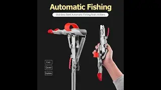 Fishing rod holder with automatic hooking