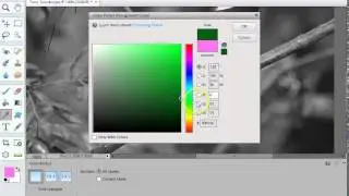 colourizing a b and W PSE11