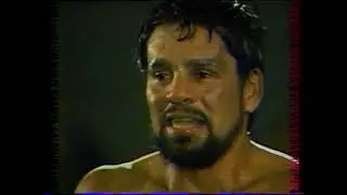 Combat de boxe canal +