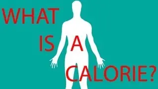 What Is A Calorie?